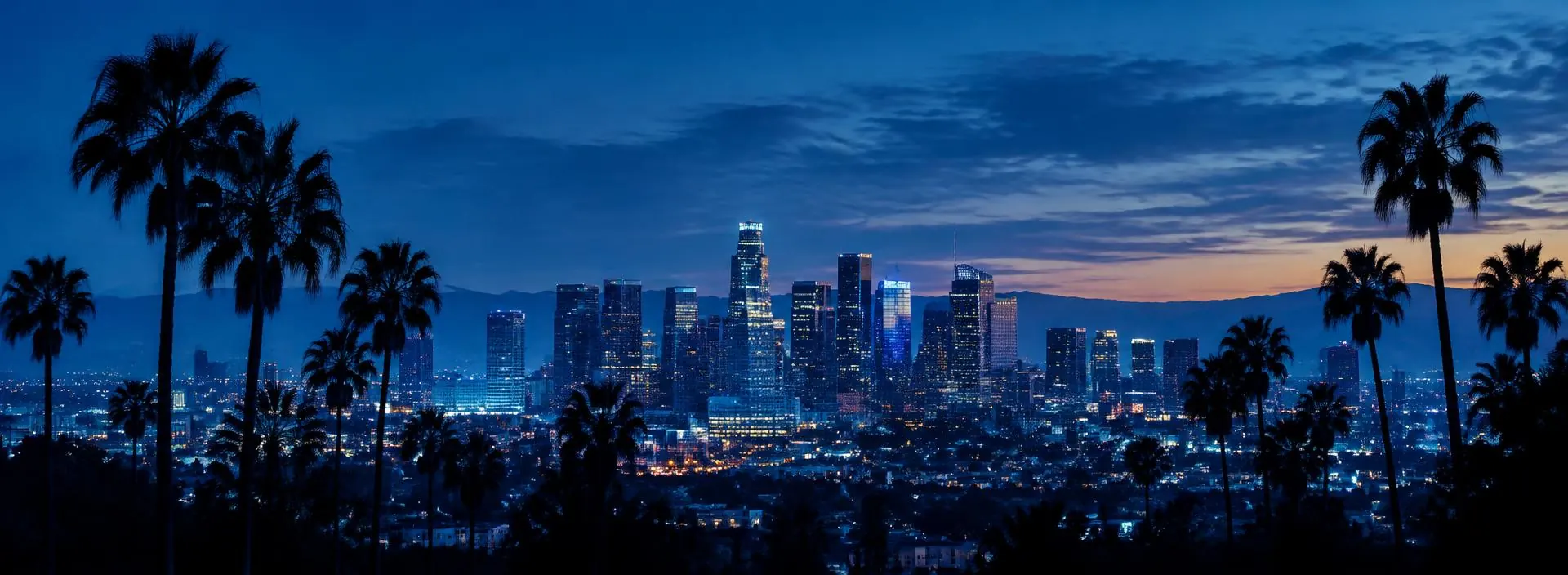 Los Angeles skyline at sunset with palm trees, the area Sanctuary Home Care serves